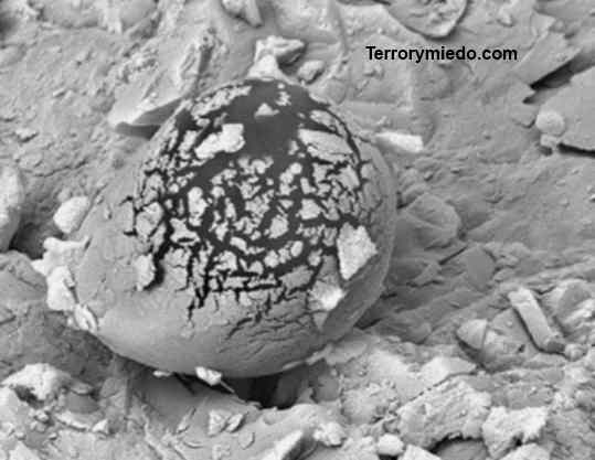 huevo marciano