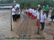 serpiente-gigante-2013.jpg