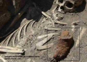 Vampiro-encontrado-en-el-Reino-Unido.jpg