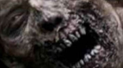 Zombies-reales.jpg