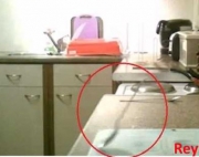 poltergeist.jpg