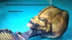 alienigena-real.jpg