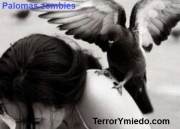 palomas-zombies.jpg