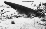 Ovni-real-area-51-Roswell.jpg